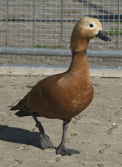 好势头