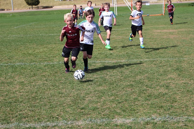 畅淋漓的胜 畅淋漓的胜