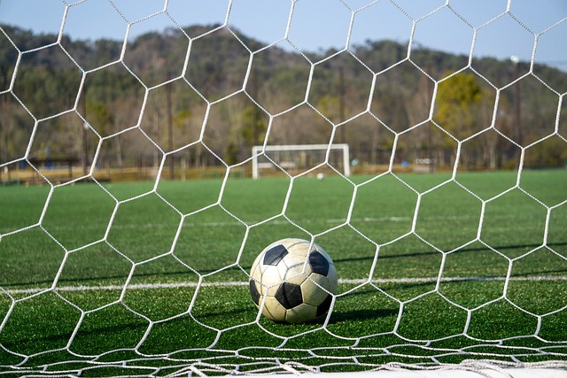 不仅快速回 不仅快速回