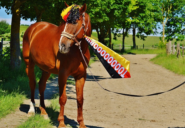 理上的困扰 理上的困扰