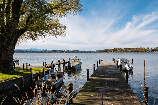 阿森纳的青 阿森纳的青